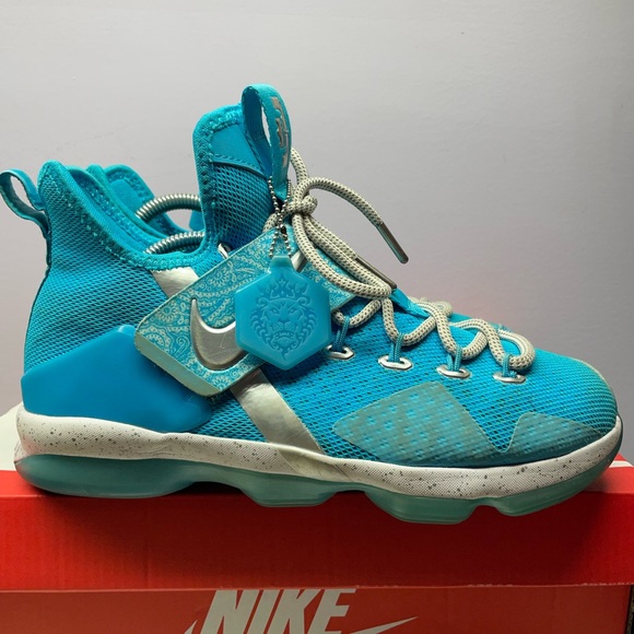 Nike LeBron 14 “rick flair” - Picture 3 of 6